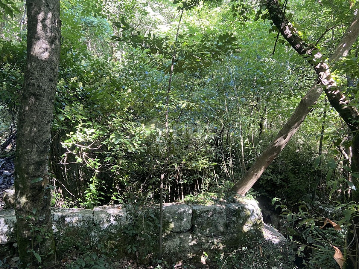 TRINAJSTIĆI