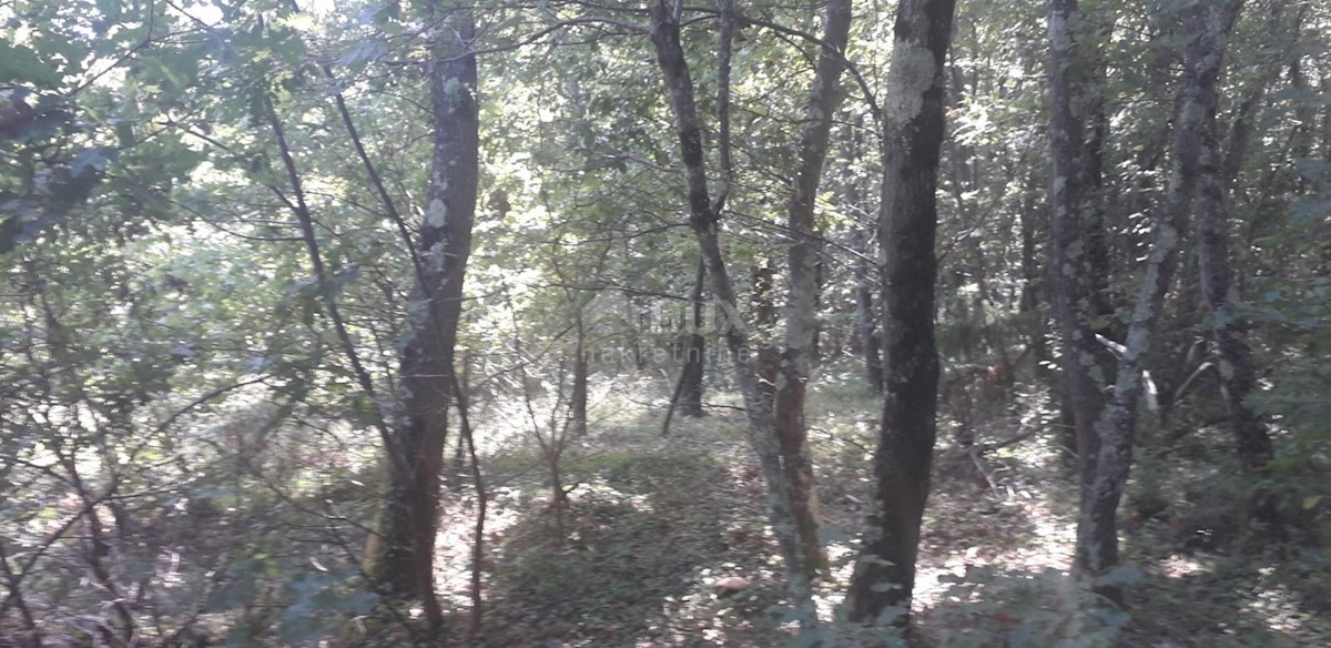 SVETVINČENAT