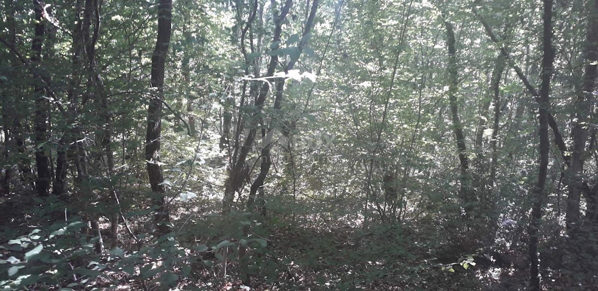 SVETVINČENAT