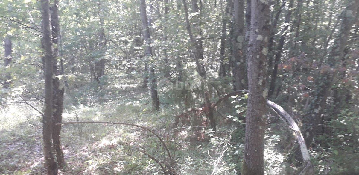 SVETVINČENAT