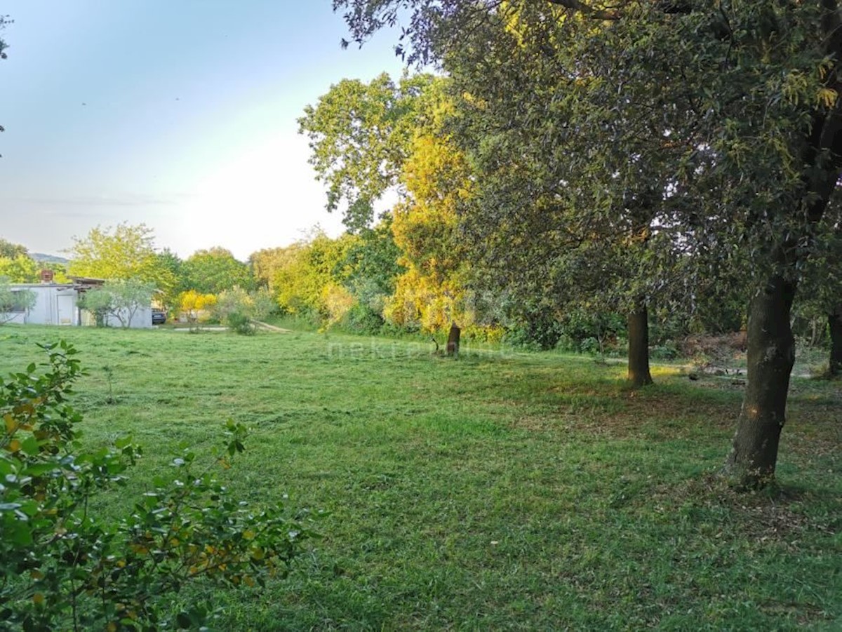 LIŽNJAN