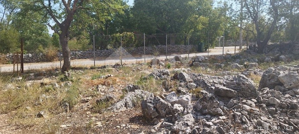PRIDRAGA