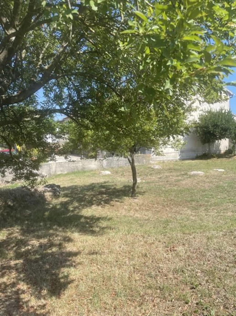 PAJKOVIĆI
