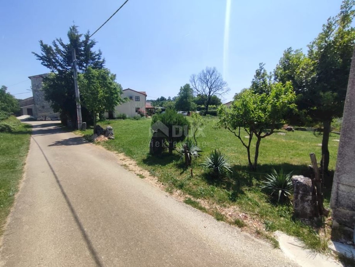 PAJKOVIĆI