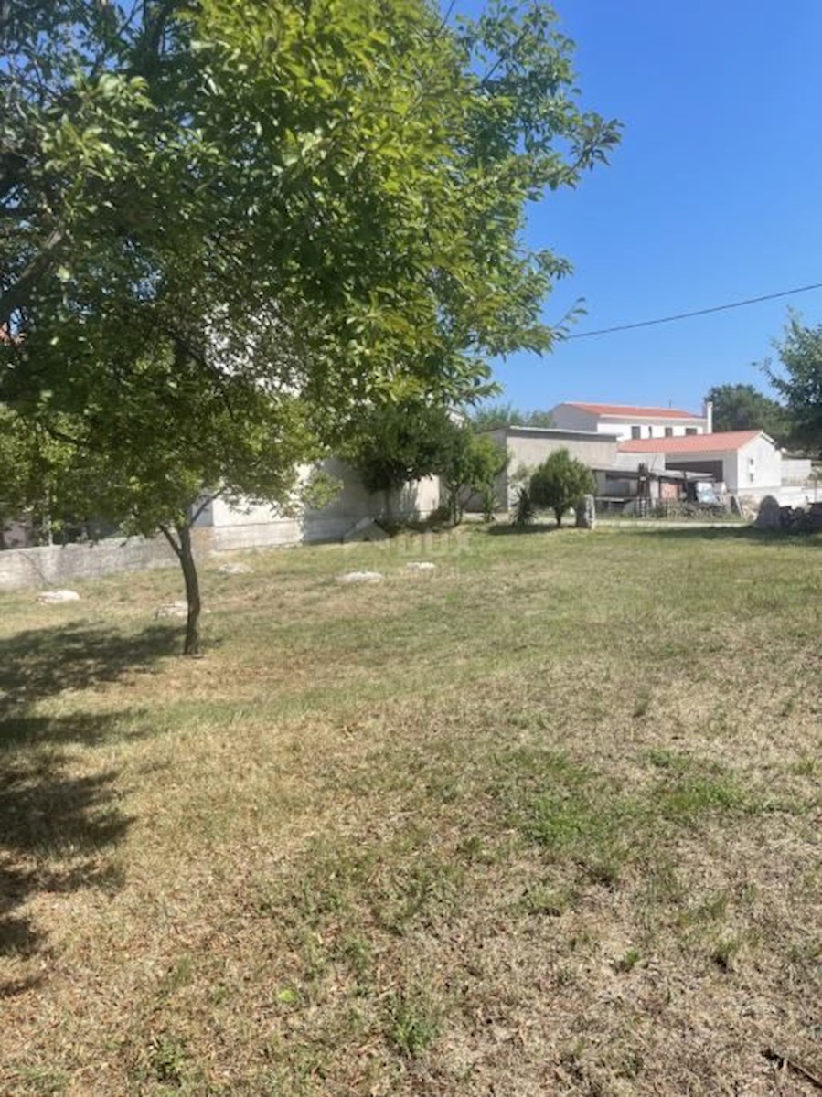 PAJKOVIĆI