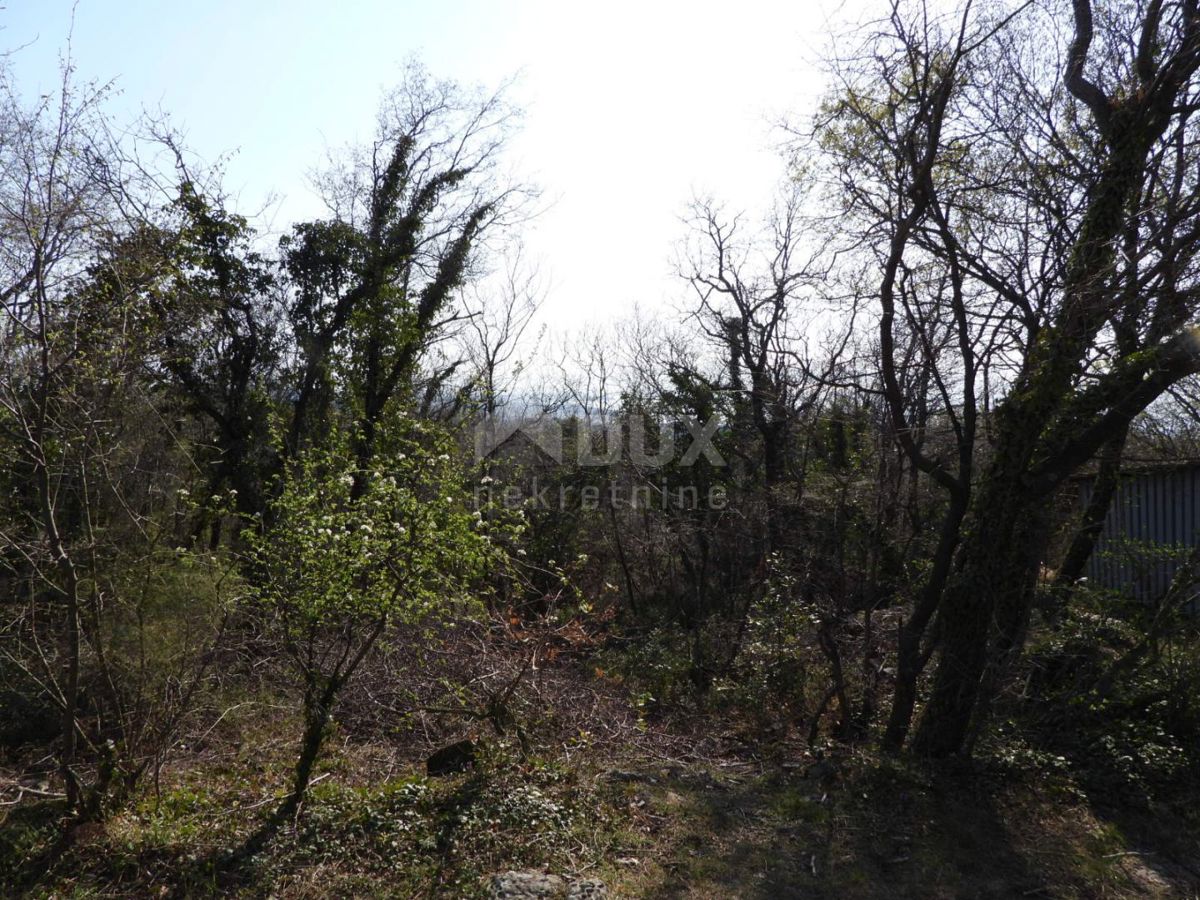 KRALJEVICA