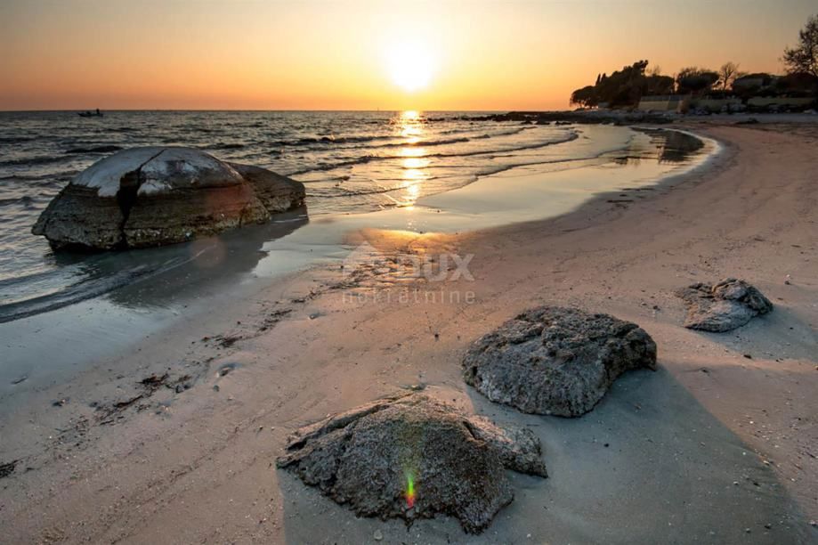 UMAG