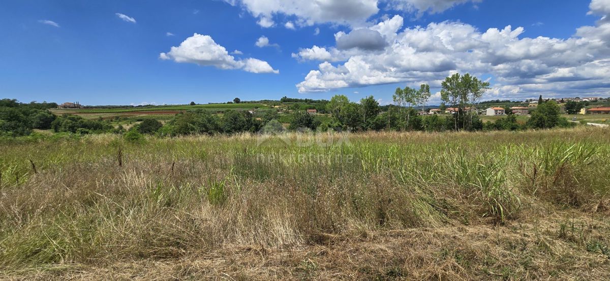 VIŽINADA