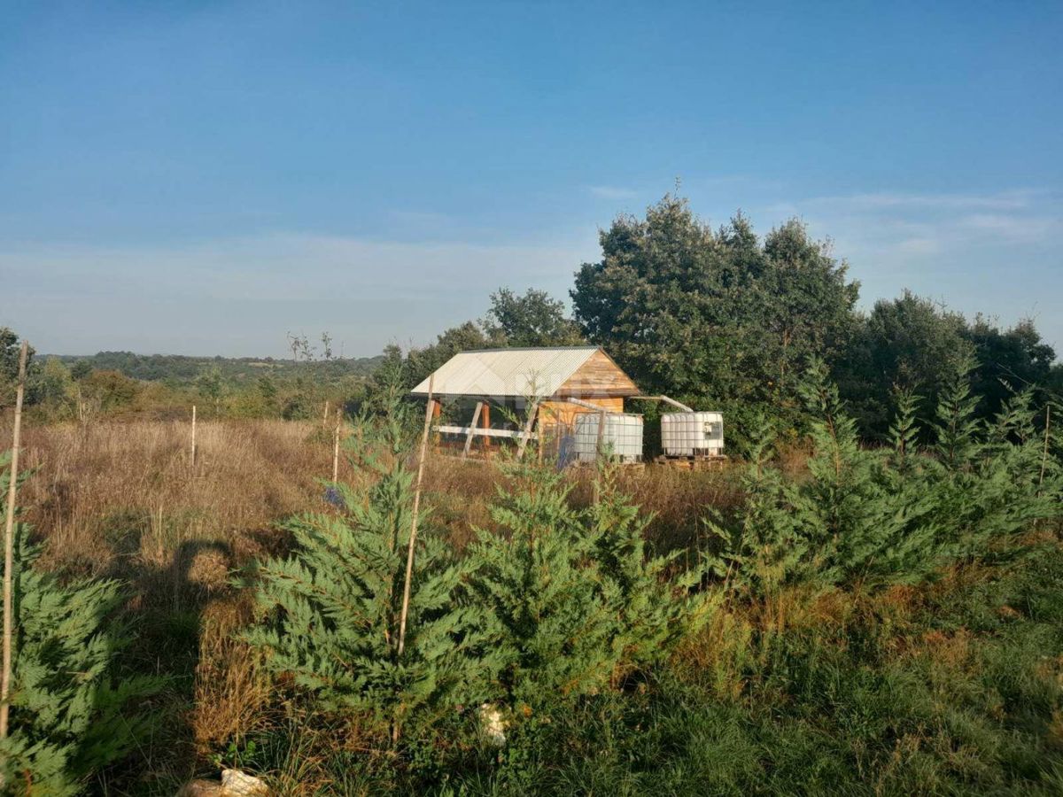 SVETVINČENAT