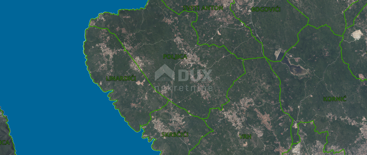 PINEZIĆI