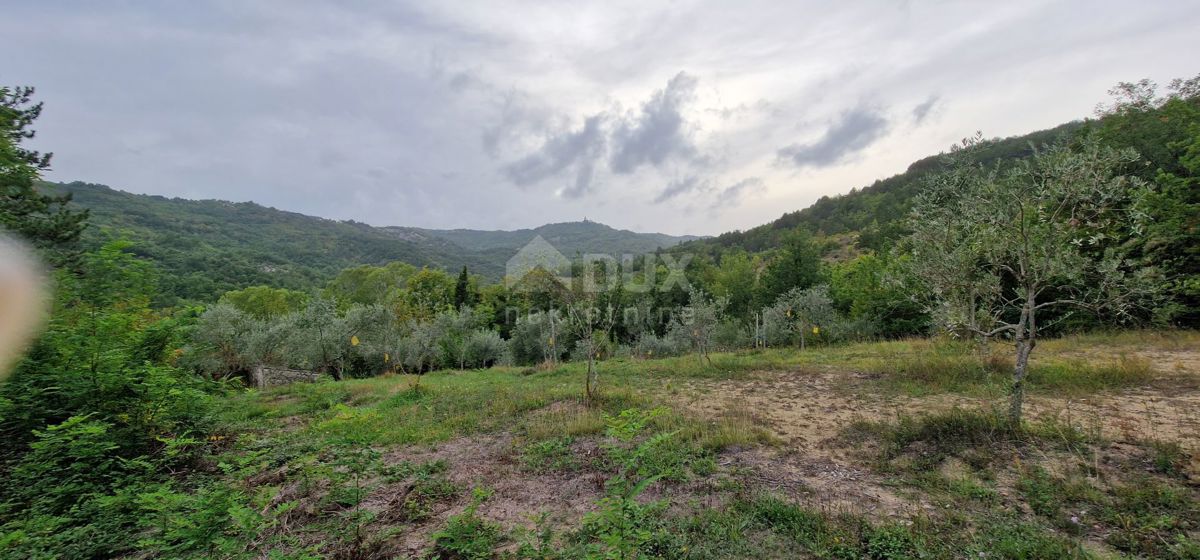 GRAČIŠĆE
