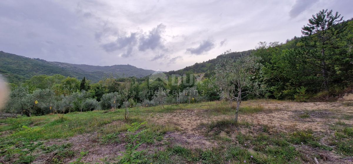 GRAČIŠĆE