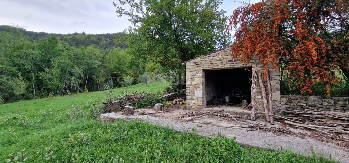 GRAČIŠĆE