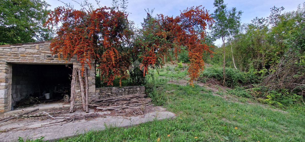 GRAČIŠĆE