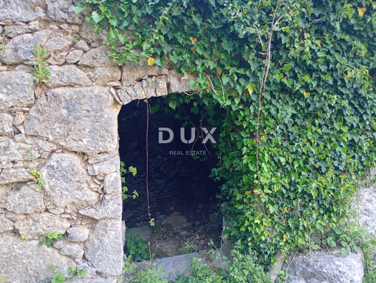 image 14