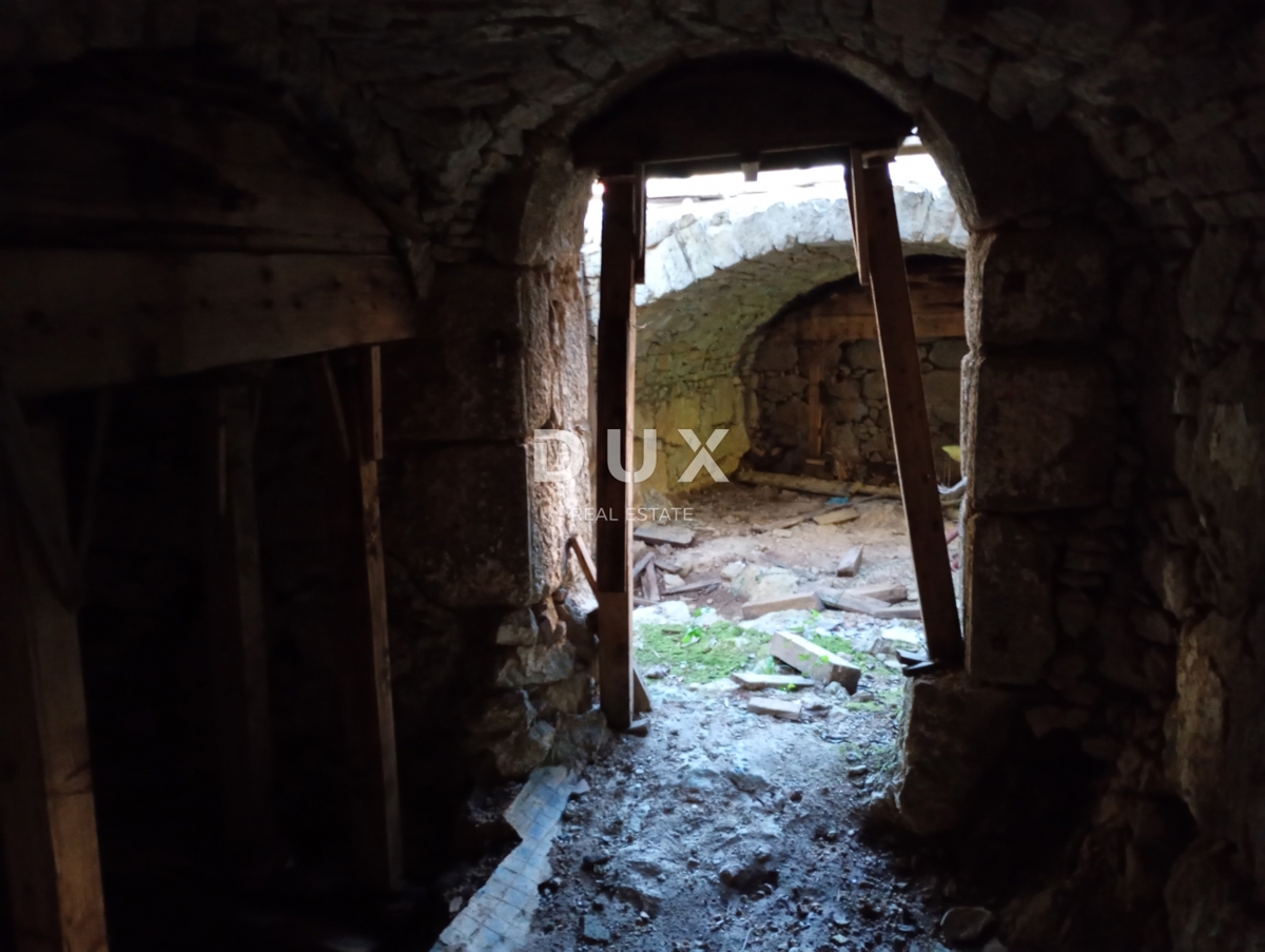 image 13