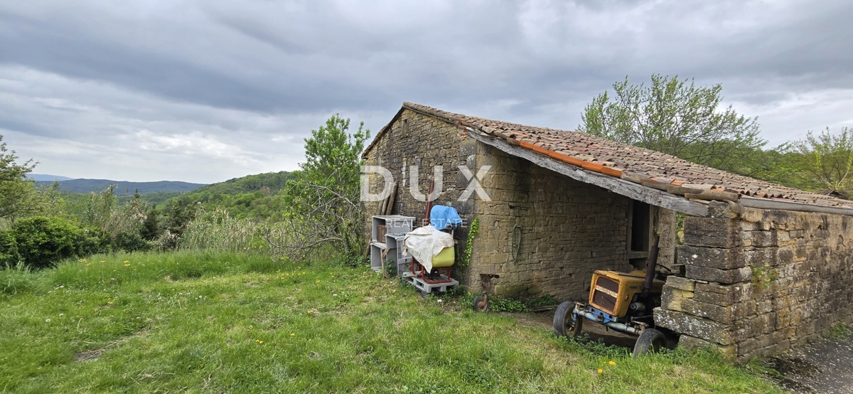 image 13