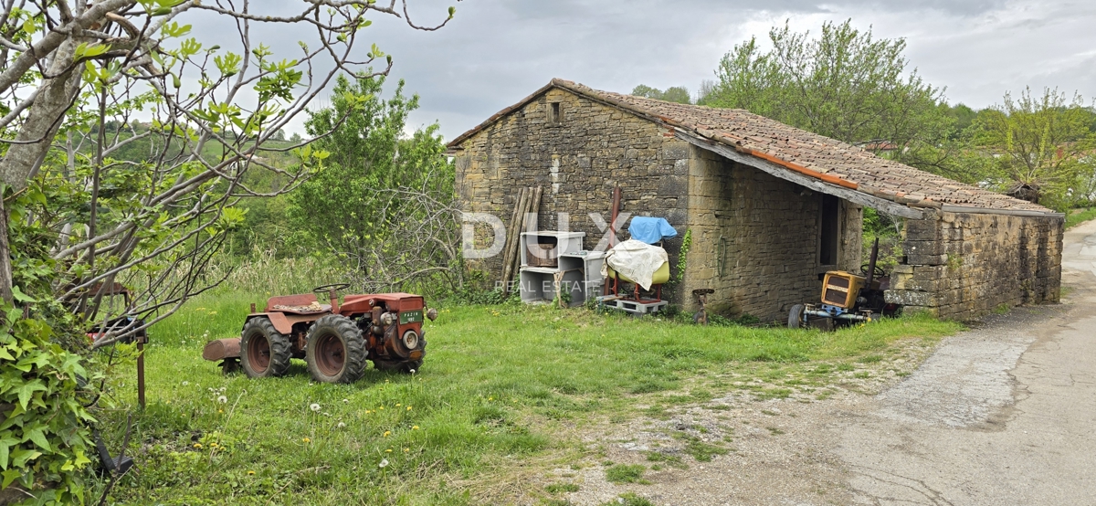 image 14