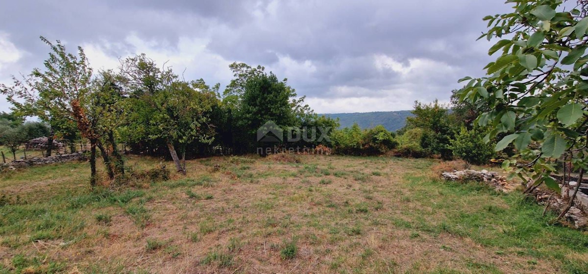 PIĆAN