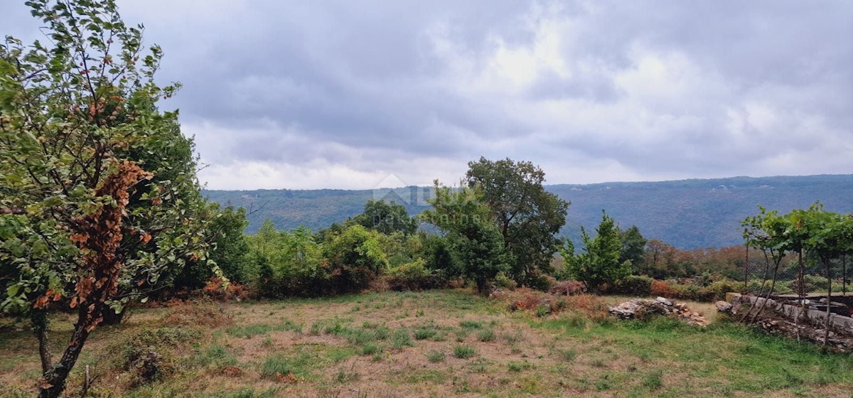PIĆAN