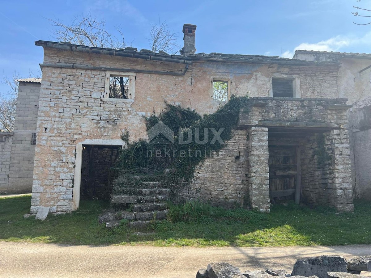 SVETI PETAR U ŠUMI