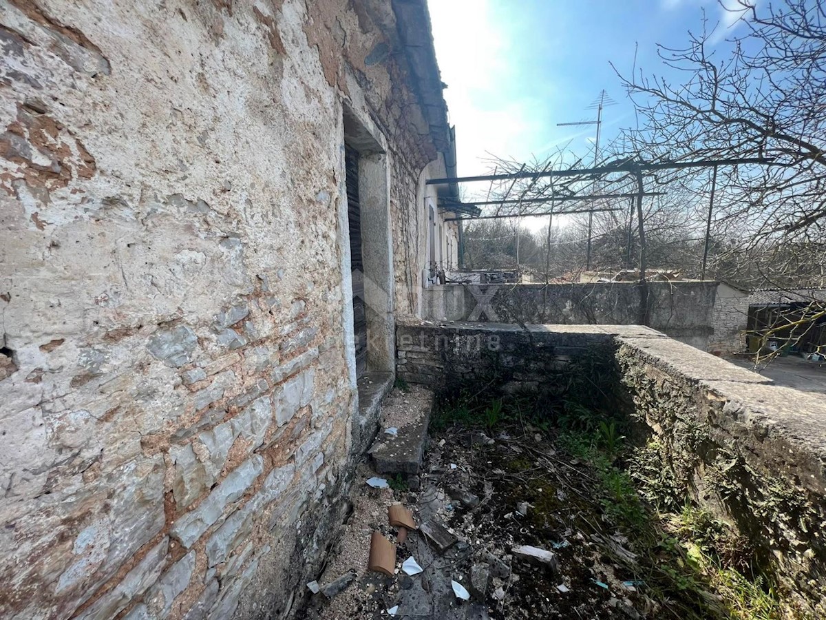 SVETI PETAR U ŠUMI