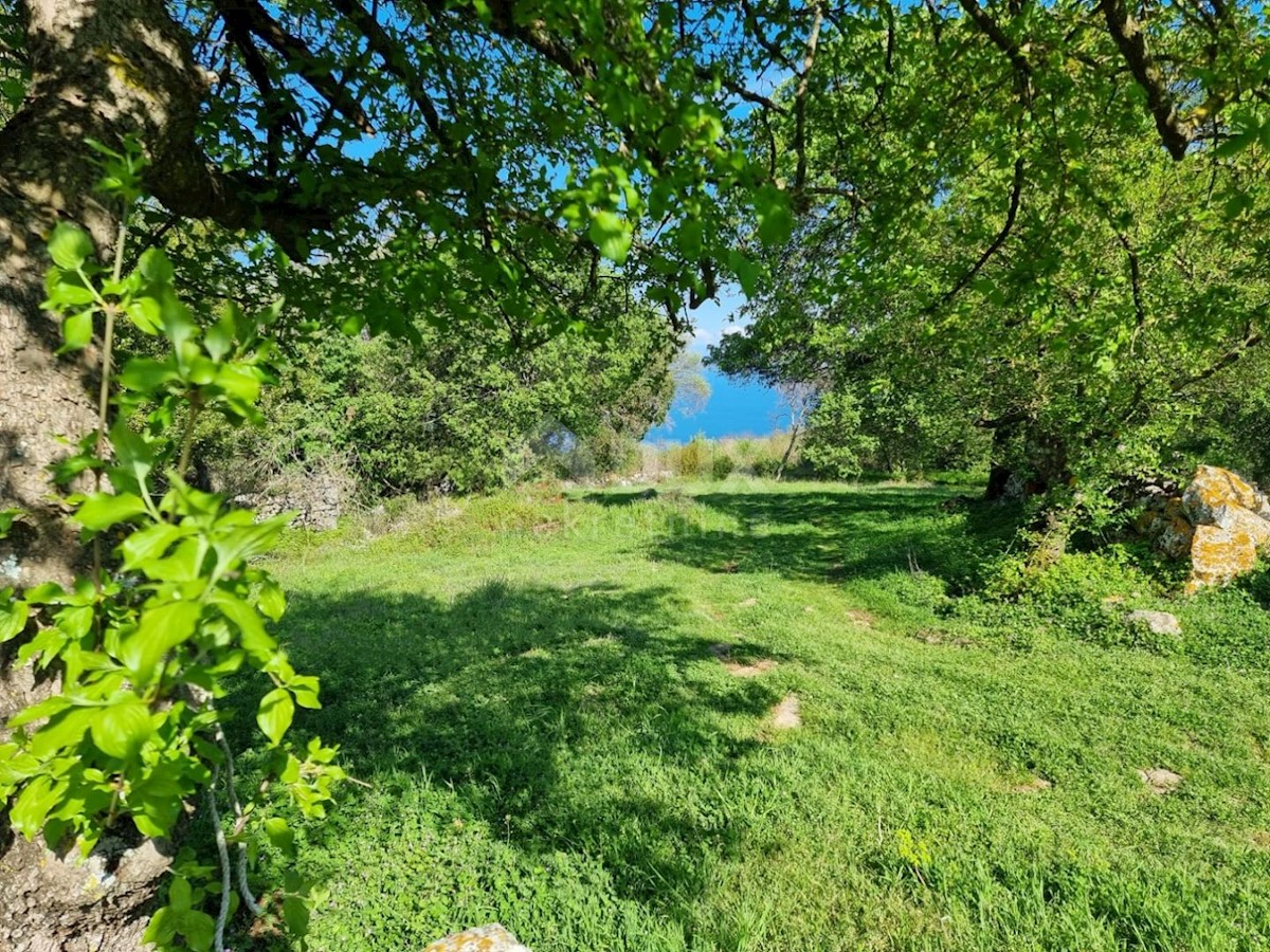 RABAC