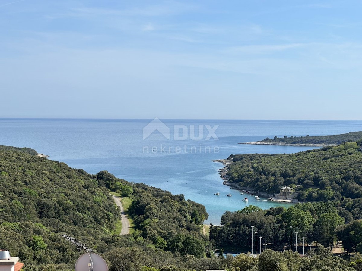 PAVIĆINI