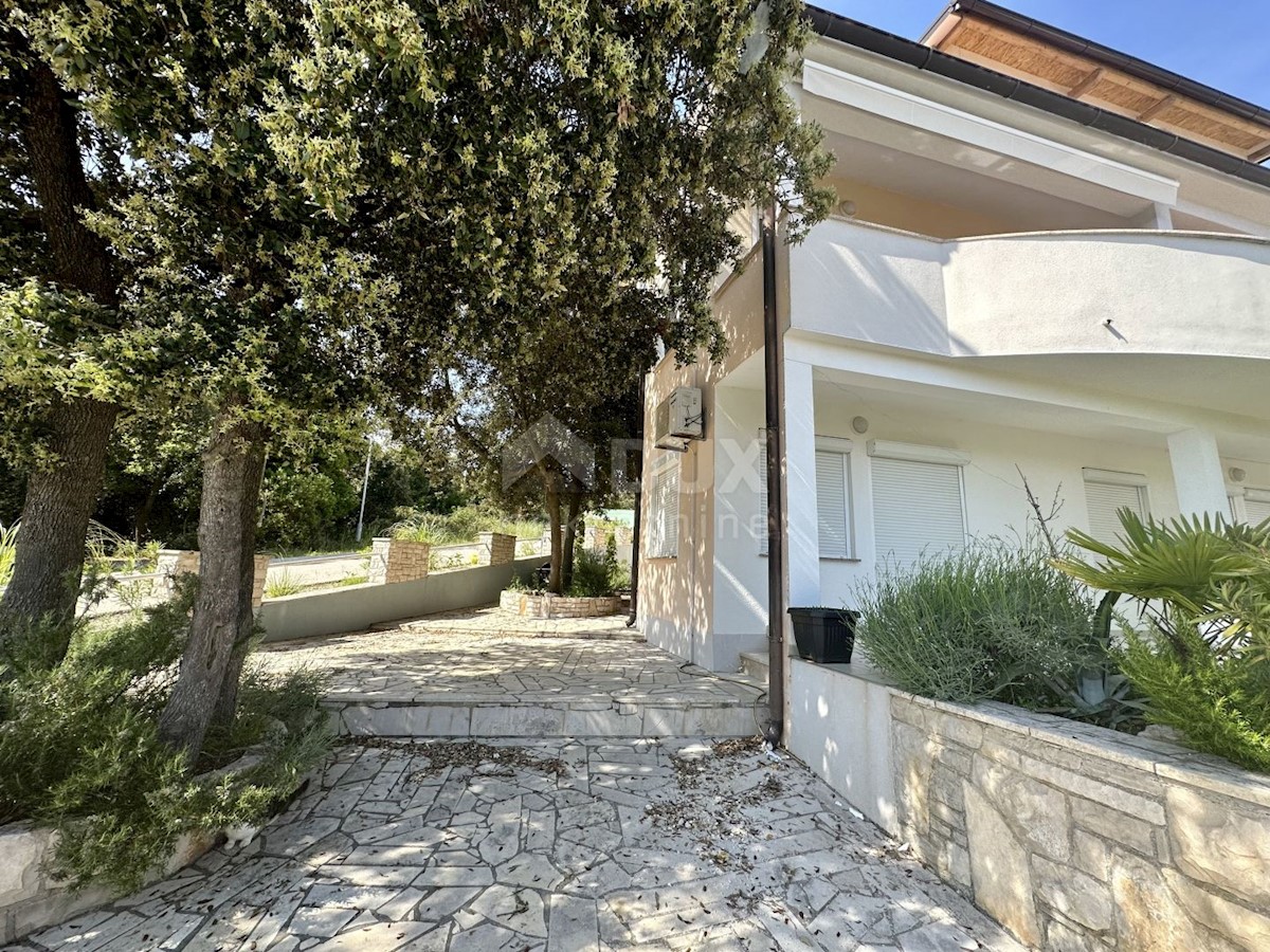 PAVIĆINI