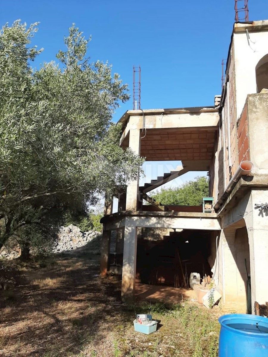 PINEZIĆI