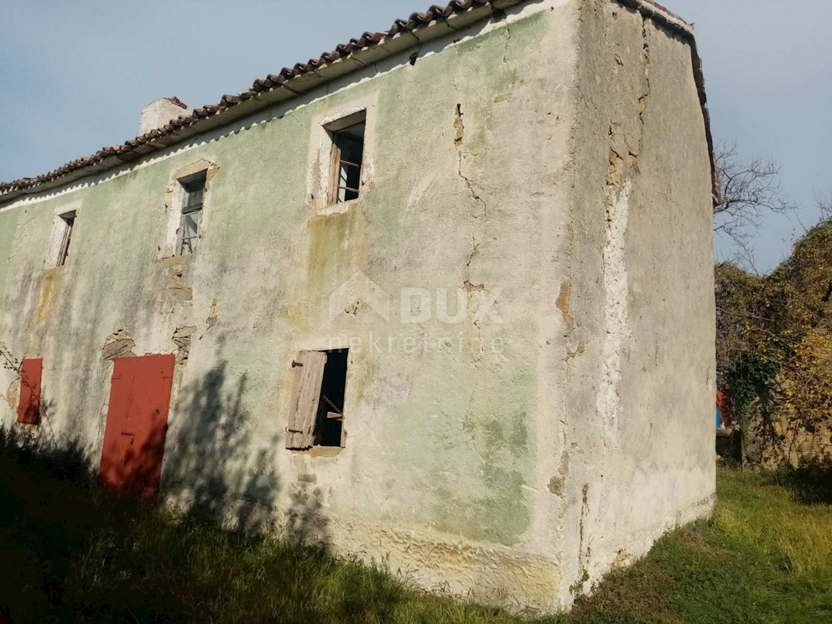 BUZET