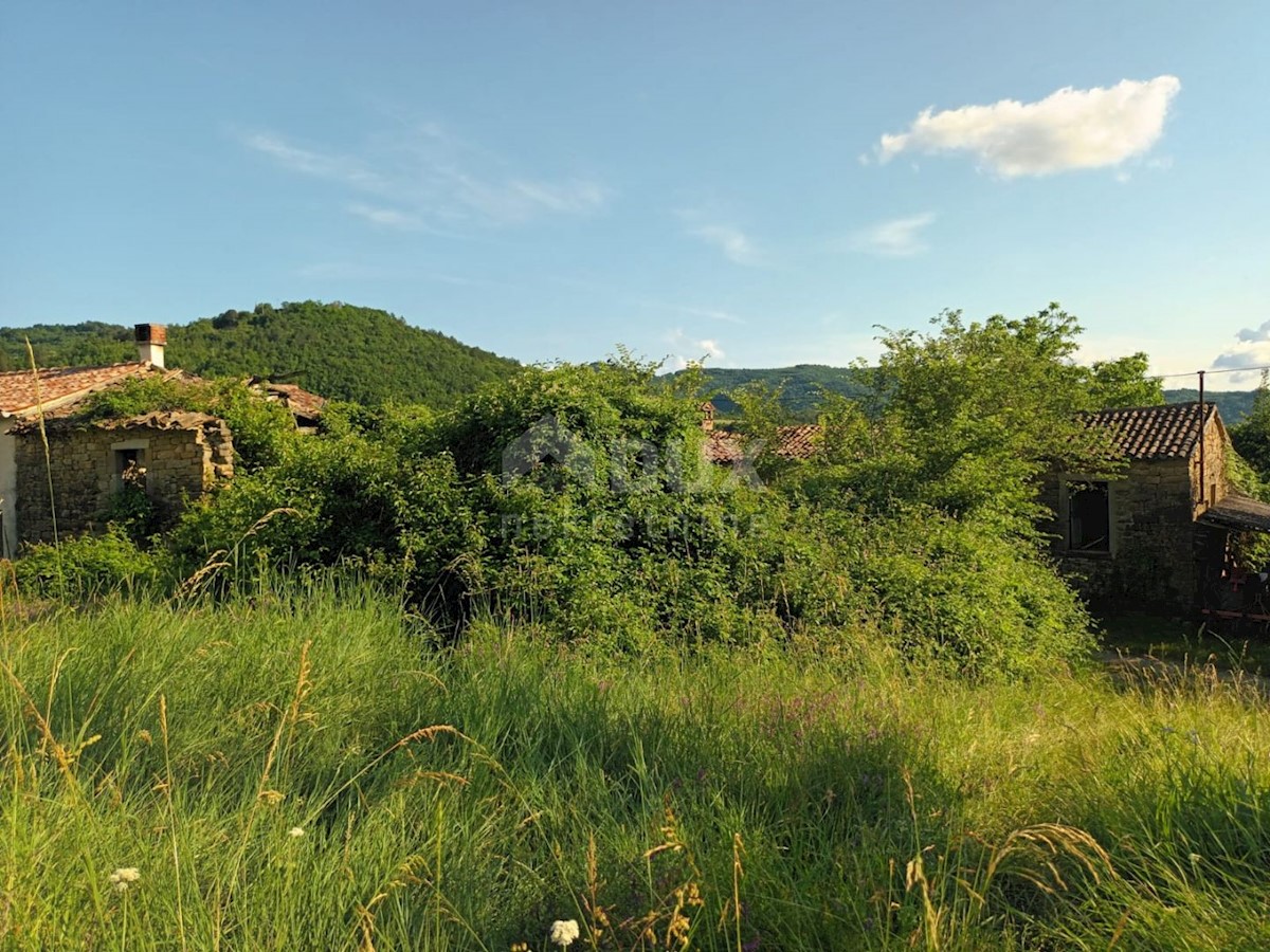 BUZET