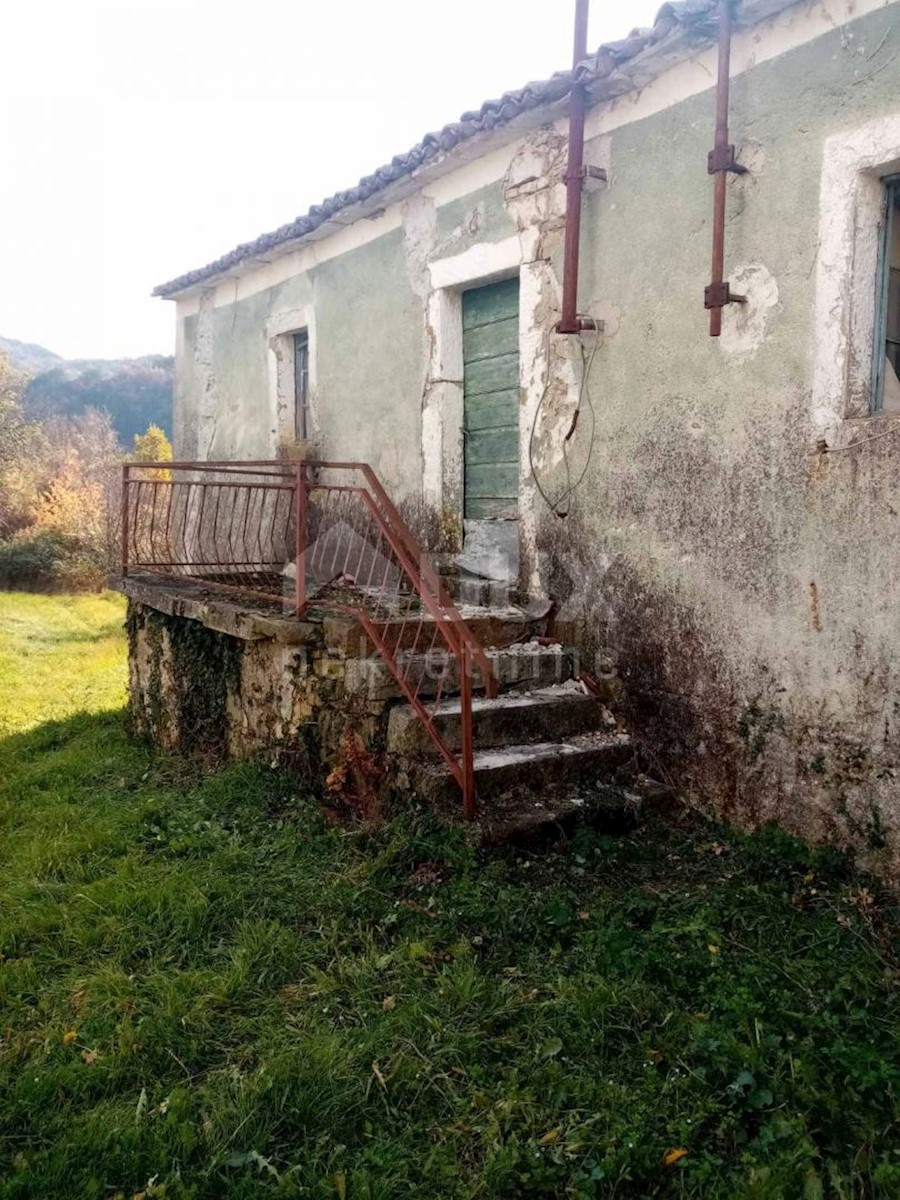 BUZET