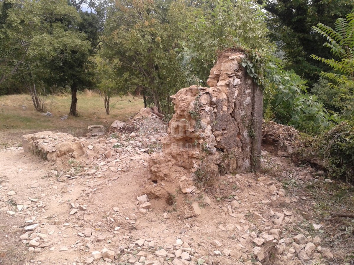 NOVI VINODOLSKI