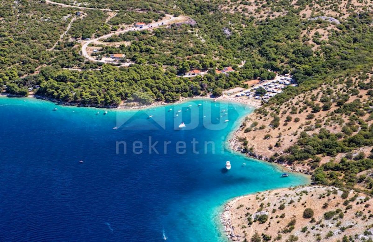 PUNAT