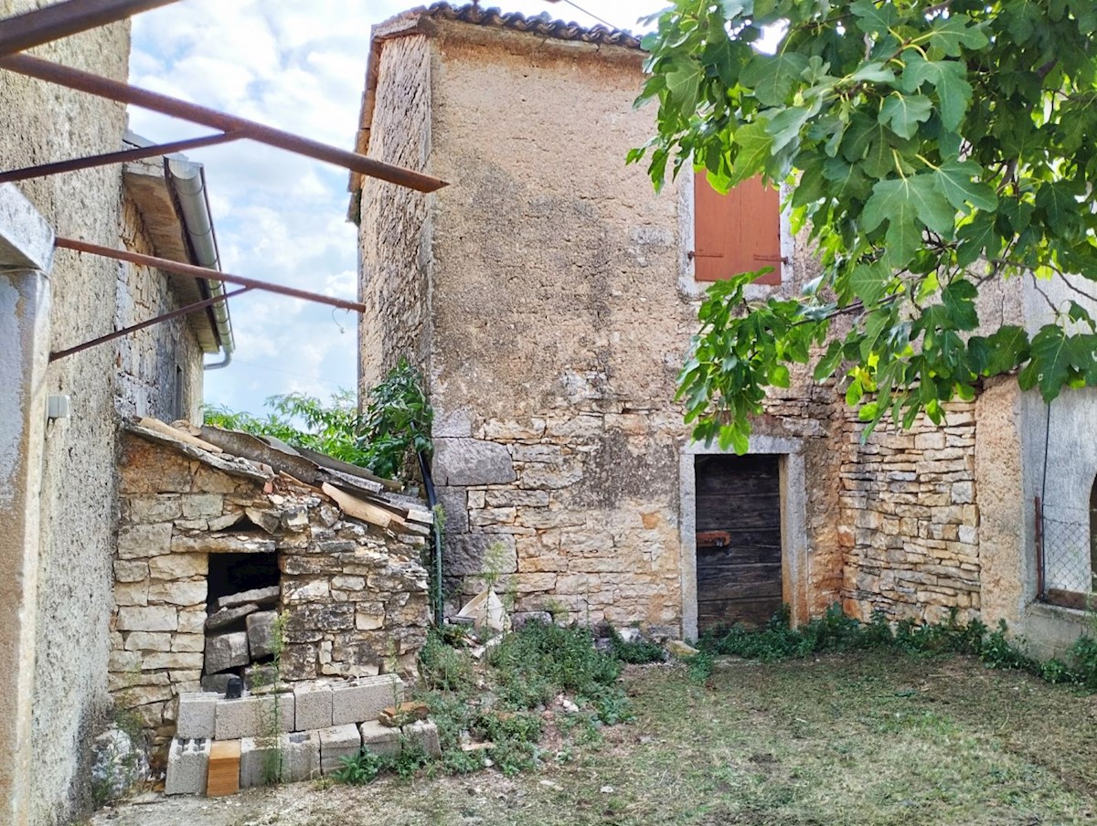 VIŠNJAN