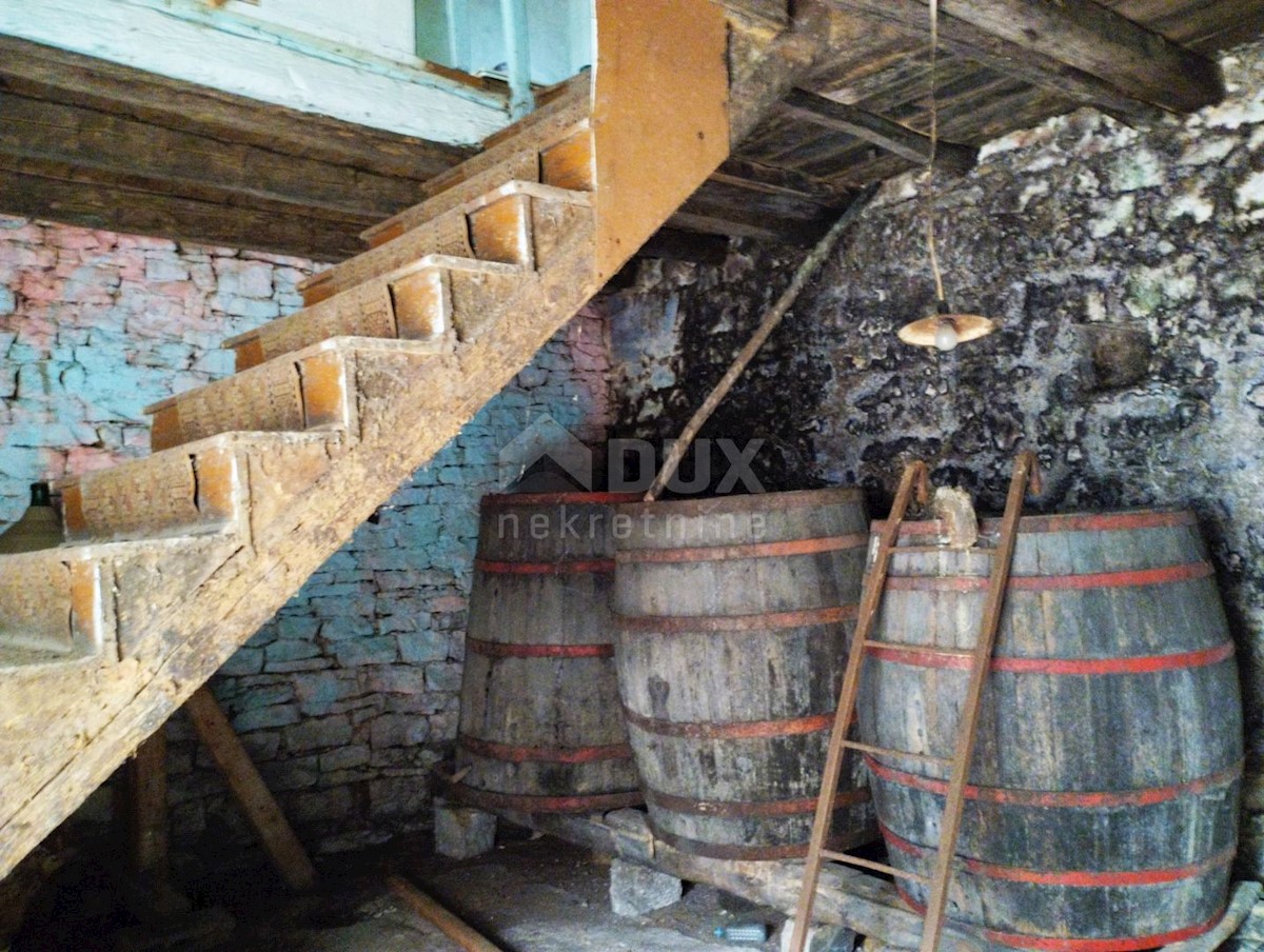 VIŠNJAN