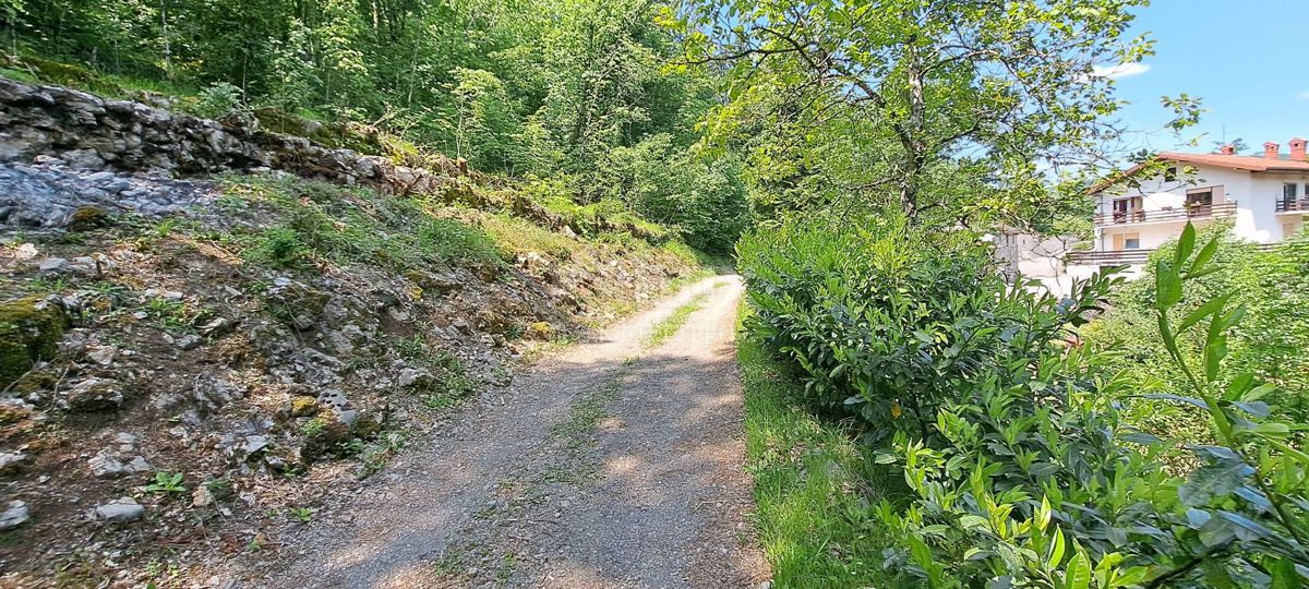 MATULJI