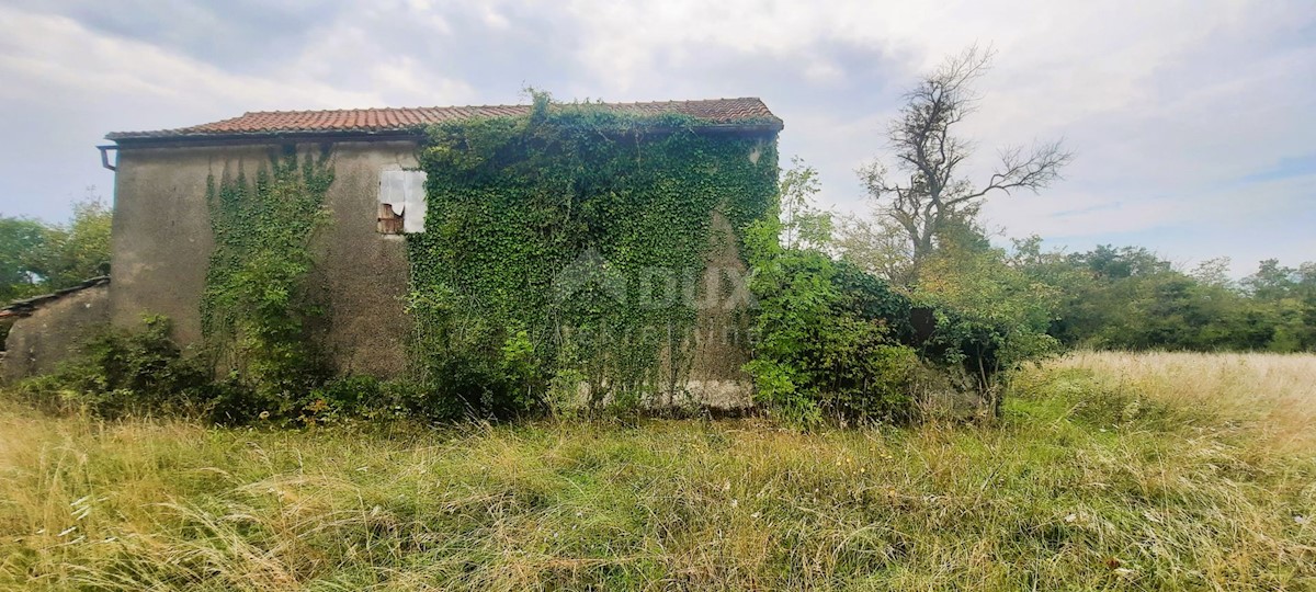 ŽMINJ