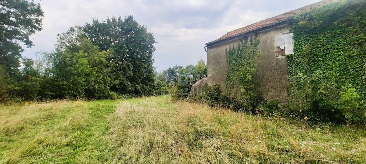 ŽMINJ