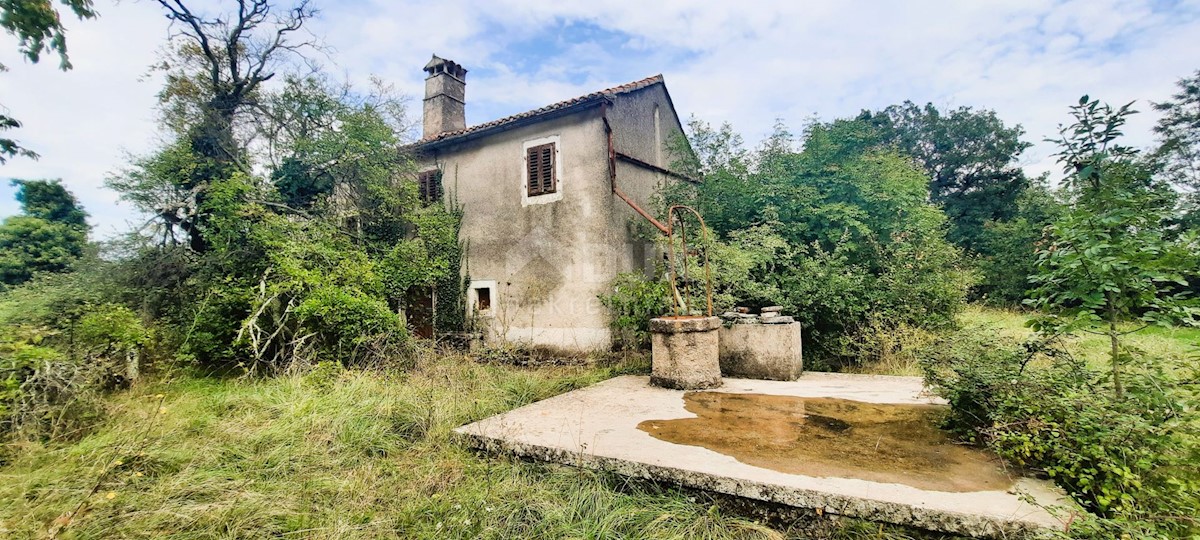 ŽMINJ