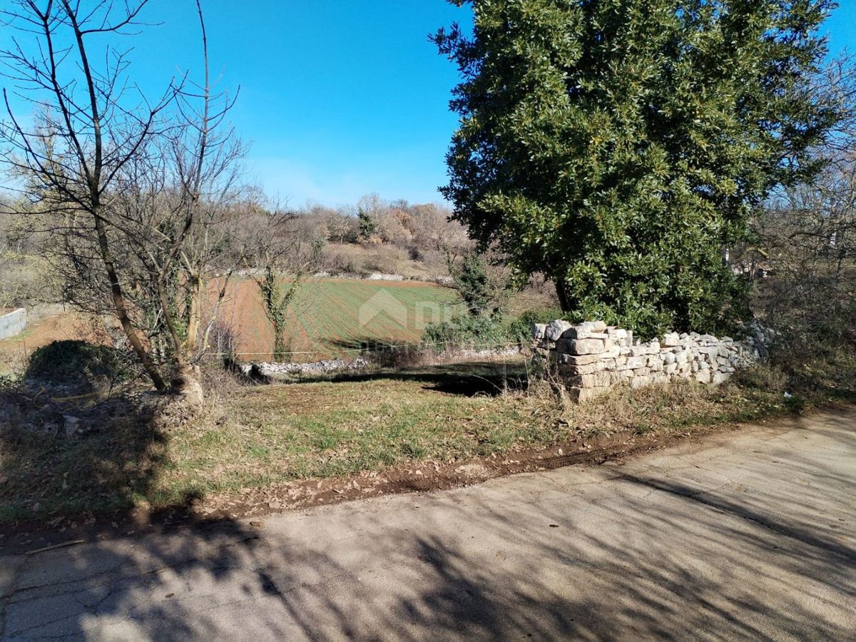 CUKRIĆI