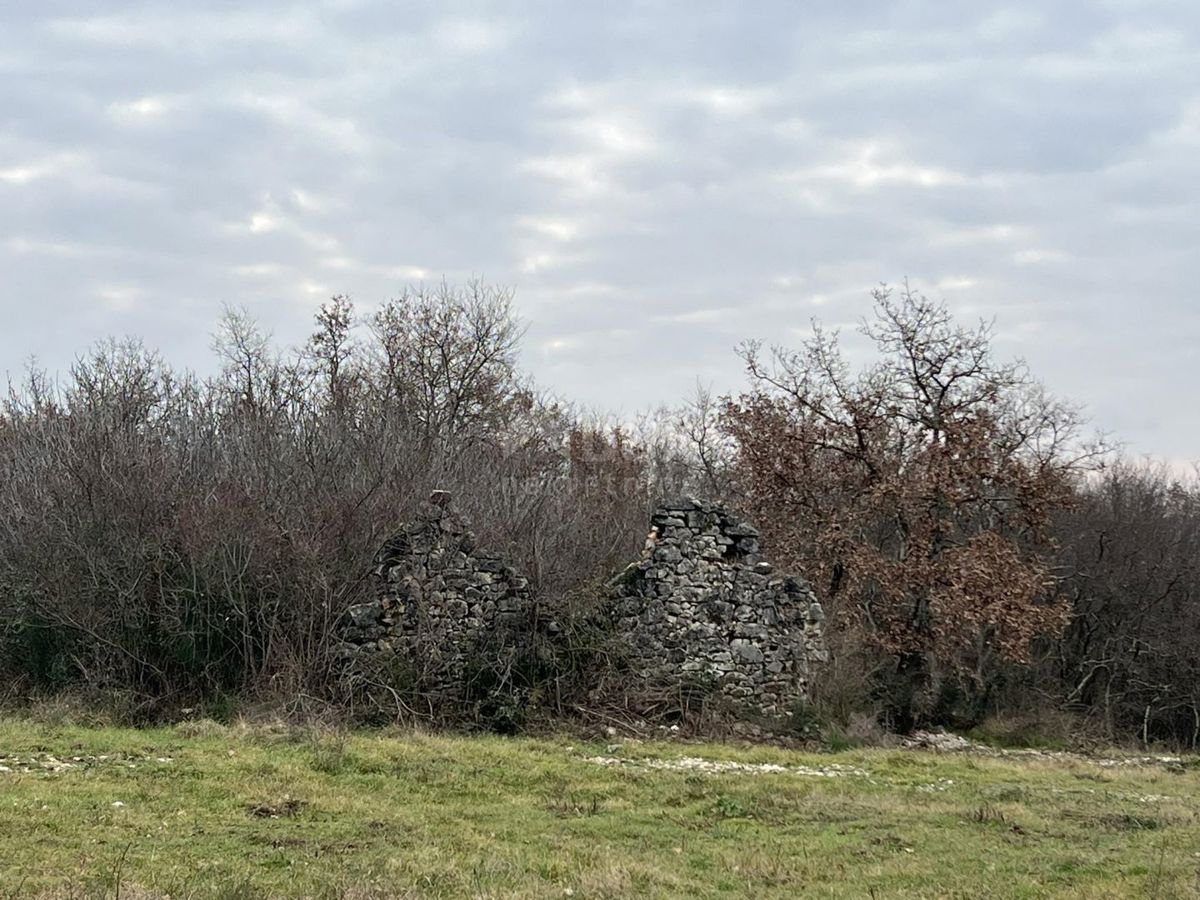 BRTONIGLA
