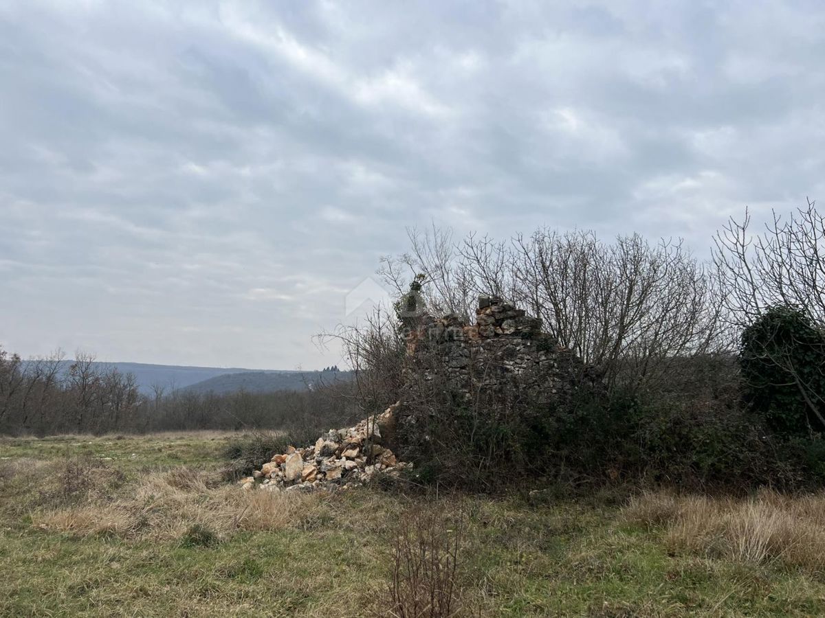 BRTONIGLA