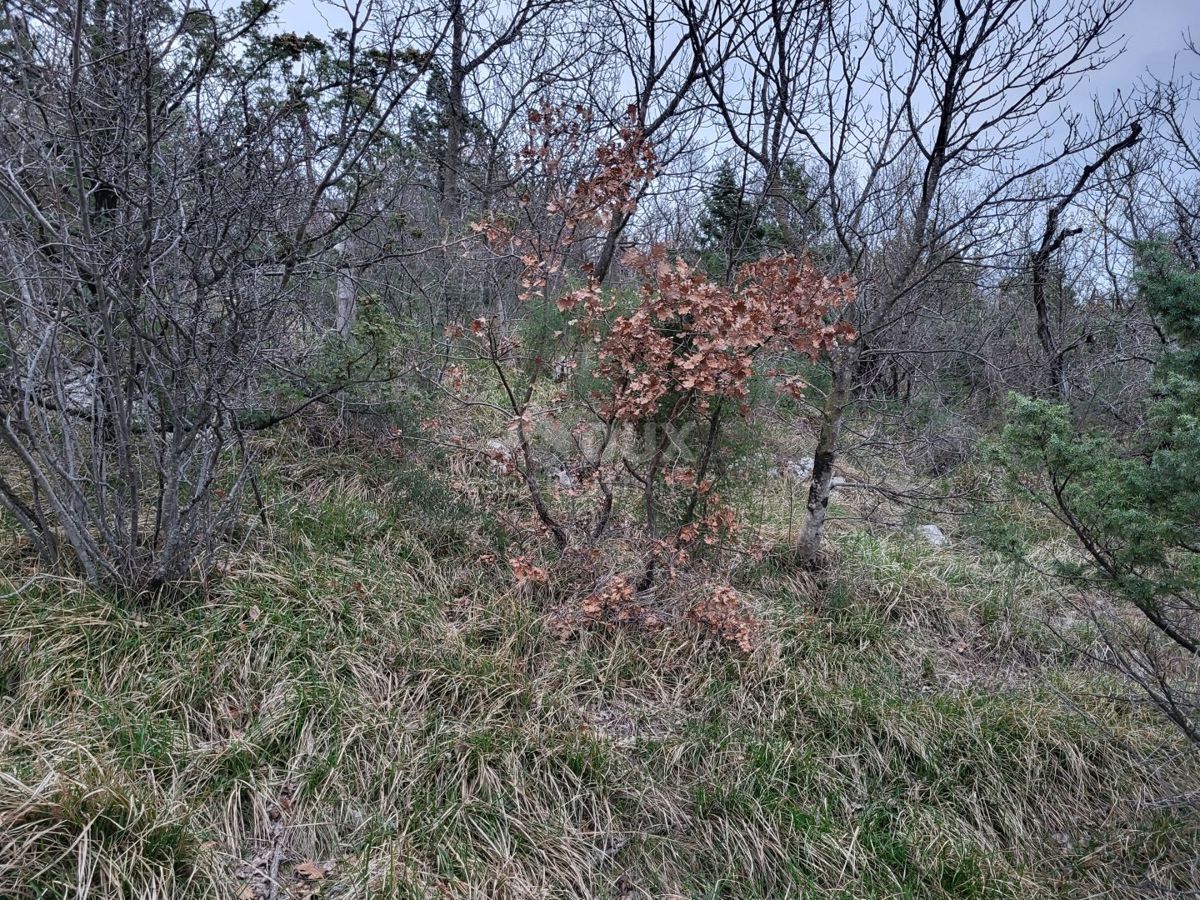 LUPOGLAV