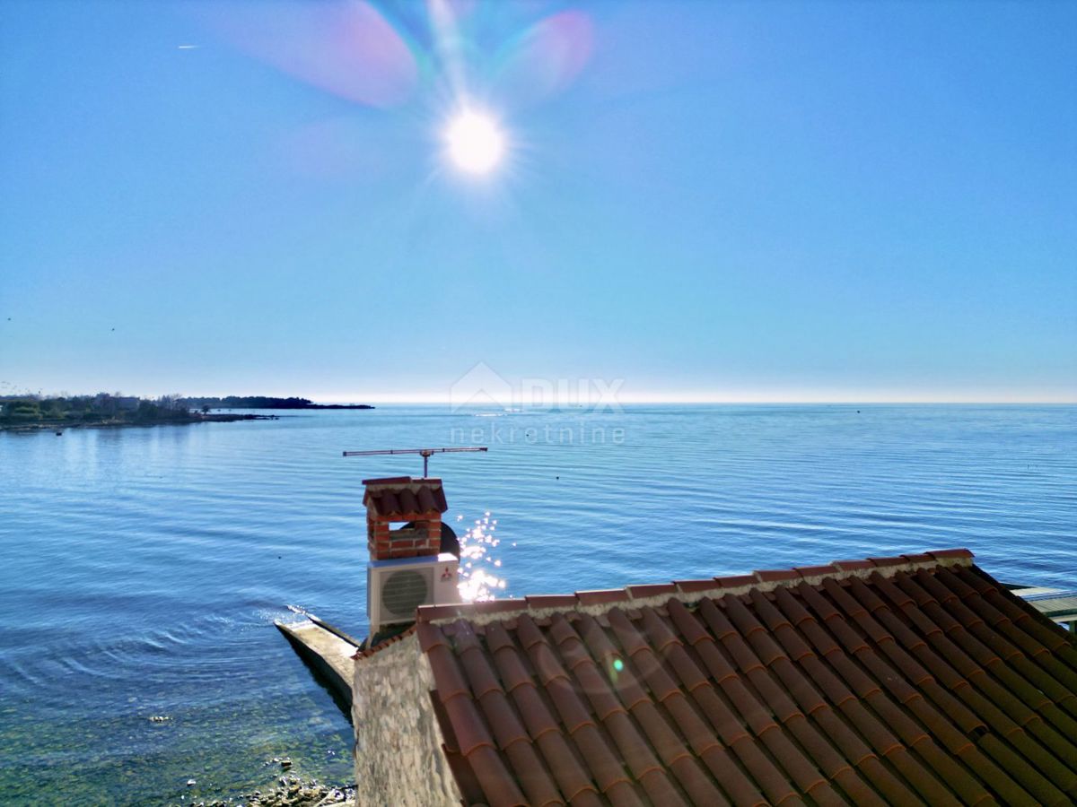 UMAG