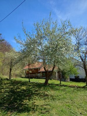 BRUŠANE