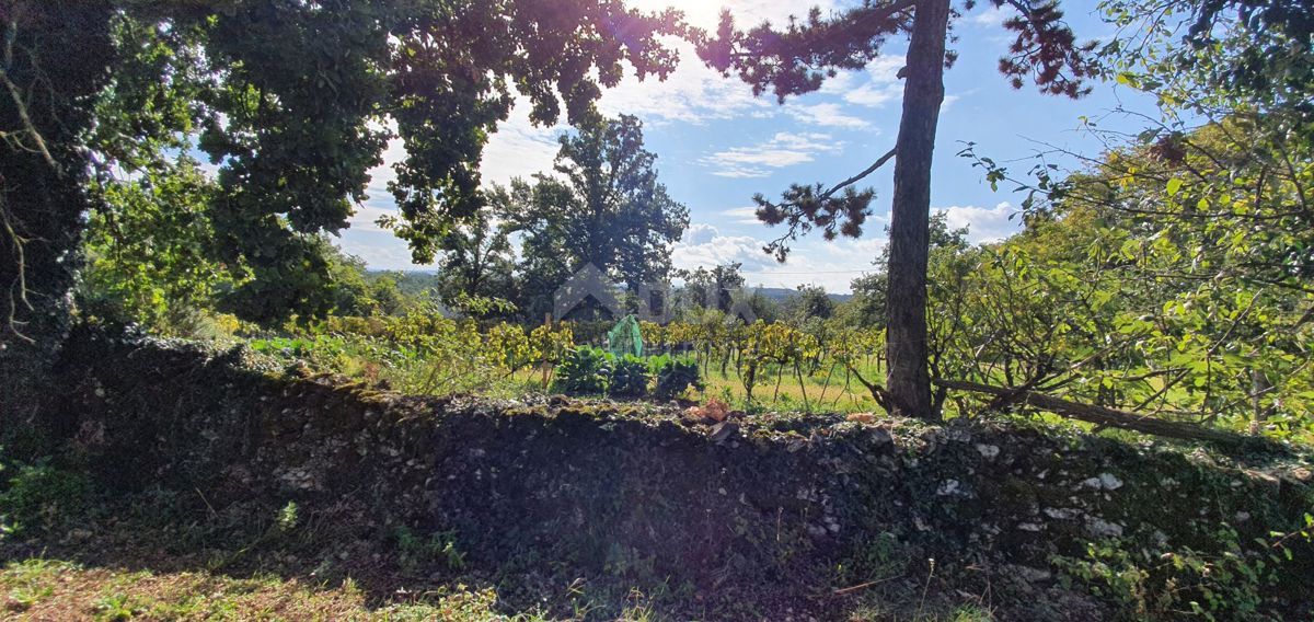 GRAČIŠĆE