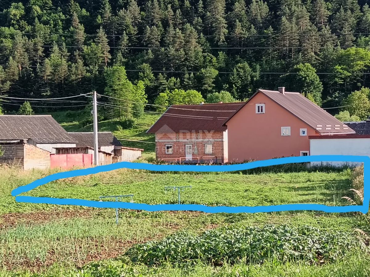 ČOVIĆI