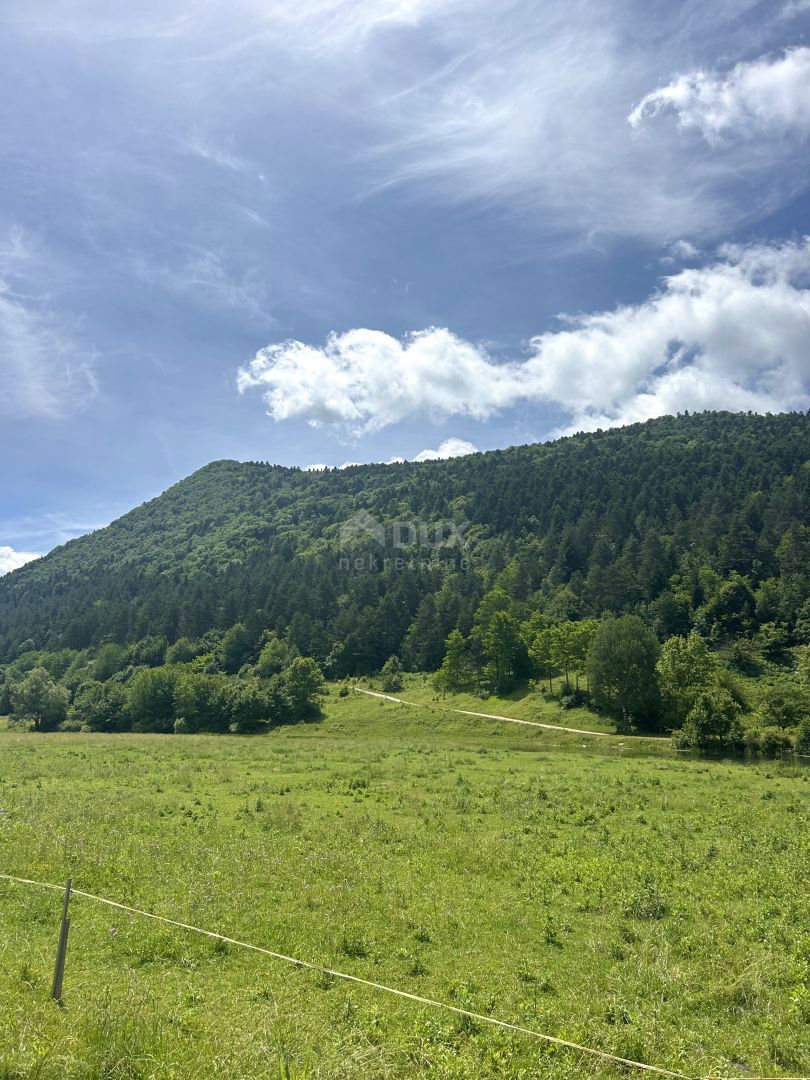 ČOVIĆI